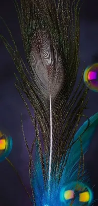 Enhance your phone's screen with this stunning peacock feather live wallpaper, showcasing vibrant blue, green and iridescent hues against a holographic design background with 3D bubbles