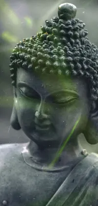 Transform your phone into an oasis of peace with this stunning Buddha live wallpaper