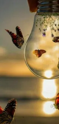 This phone live wallpaper is a beautiful work of art that showcases a light bulb filled with vibrant butterflies, against a stunning morning sunrise background