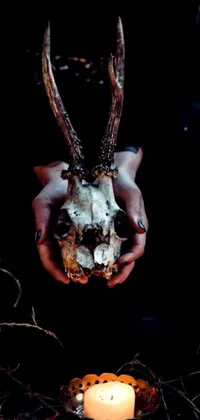 Looking for a spooky and intriguing phone wallpaper? Look no further than this captivating live wallpaper featuring a close-up shot of a deer skull resting in someone's hands