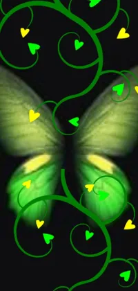 This stunning phone live wallpaper showcases a gorgeous, green-skinned butterfly resting peacefully on a sleek black background