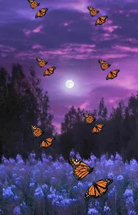 Plant Light Butterfly Live Wallpaper