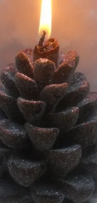 This stunning live wallpaper depicts a cozy lit candle resting atop a pinecone, capturing its gradual melting process