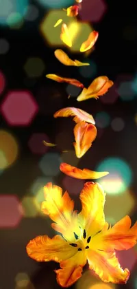 Enhance your phone's aesthetic with this captivating live wallpaper of orange and yellow flowers