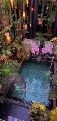 This live wallpaper features an aerial view of a luxurious indoor pool surrounded by lush plants and flowers