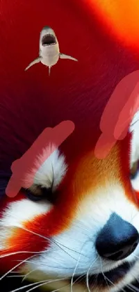 Admire the captivating details of this phone live wallpaper featuring a red panda with a bird sitting on its head
