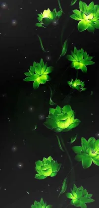 Plant Liquid Flower Live Wallpaper