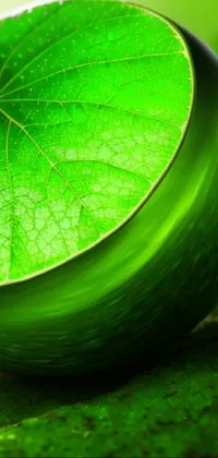 Plant Liquid Green Live Wallpaper