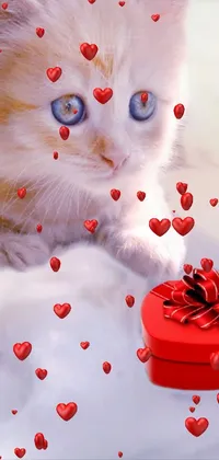 This phone live wallpaper features a white cat sitting on a red box next to a cozy bed, holding a gift