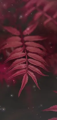 Plant Liquid Water Live Wallpaper