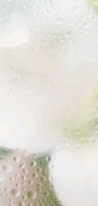 This phone live wallpaper boasts a stunning photorealism close up of water droplets on a window