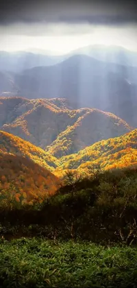 This phone live wallpaper depicts a stunning landscape of a mountain range covered in autumn leaves with the sun shining through the clouds