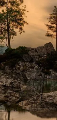 This phone live wallpaper depicts a romantic and serene scene of nature