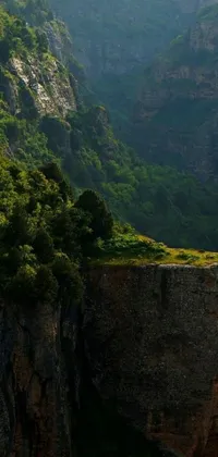 Plant Mountain Formation Live Wallpaper