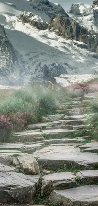 This is a stunning live wallpaper that shows a stone path leading to the top of a mountain with a fairy-like aesthetic
