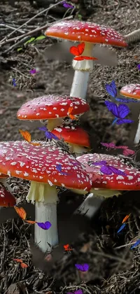 Enhance your mobile device with a stunning live wallpaper featuring a mesmerizing group of mushrooms