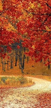 Magical Autumn Live Wallpaper