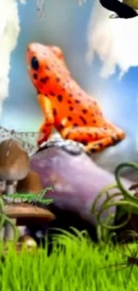 Plant Natural Environment Poison Dart Frog Live Wallpaper