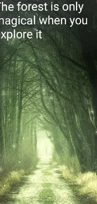 Magical Forest Live Wallpaper