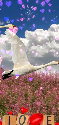 This exquisite live wallpaper showcases two birds soaring above a blossoming field with a serene lake that features two swans