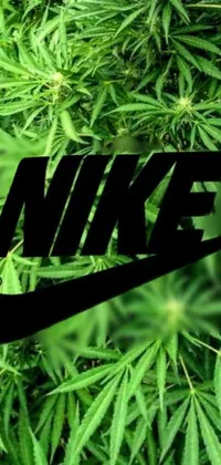 Nike shop wallpaper weed