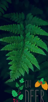 Plant Nature Leaf Live Wallpaper