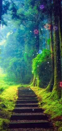 This live phone wallpaper showcases a lush green forest with stairs leading upwards, photographed in a natural light