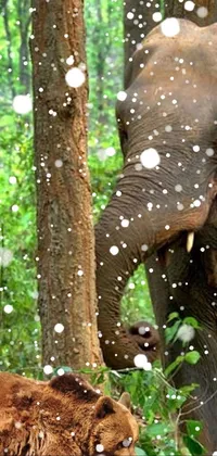 Transform your phone screen into a true wonder of nature with this stunning live wallpaper featuring an elegant elephant standing proudly in the midst of a lush forest