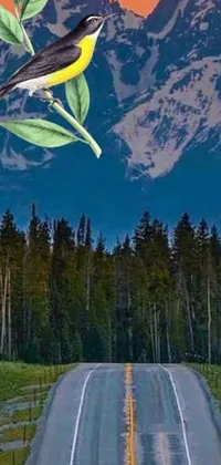 This stunning live wallpaper features a realistic bird perched on a swaying branch with a majestic backdrop of Glacier National Park