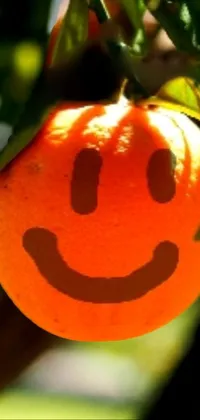 the happy orange Live Wallpaper