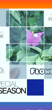 Plant Organism Font Live Wallpaper