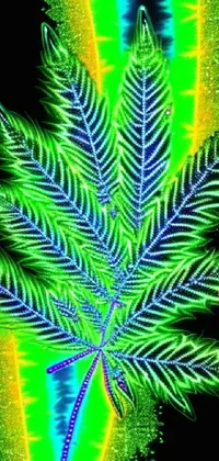 Plant Organism Terrestrial Plant Live Wallpaper