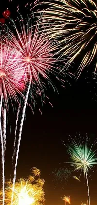 Plant Outdoor Object Fireworks Live Wallpaper