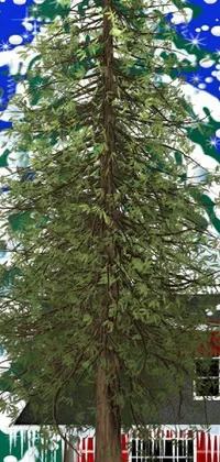 Plant Outdoor Tree Live Wallpaper