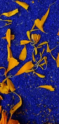 This live wallpaper features yellow flowers on a blue backdrop