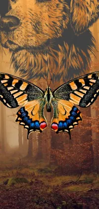 This surrealistic phone live wallpaper features a vibrant tiger with orange and black stripes and a delicate butterfly perched on its paw