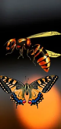 This phone live wallpaper features two bees in flight, showcasing their synchronized movements