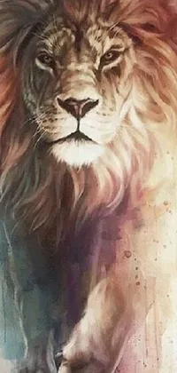 Transform your phone's look with this stunning close-up lion painting live wallpaper