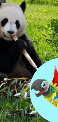 This phone live wallpaper displays a charming scene featuring a cute panda bear perched atop a vibrant green meadow, with a piece of straw in its mouth