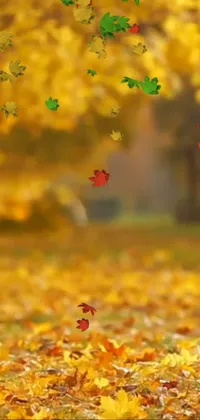 This Phone Live Wallpaper is a captivating depiction of leaves floating through the air