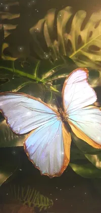 This live wallpaper showcases a stunning artistic depiction of a butterfly on a plant