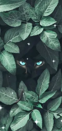 Set your phone apart with this mesmerizing live wallpaper featuring a sleek black cat with piercing blue eyes hiding amongst lush green leaves