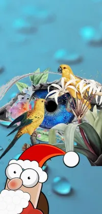 This lively phone live wallpaper features a colorful vector art design of a bird on a Santa Claus hat with wet reflections in its eyes and a backdrop of tropical fish