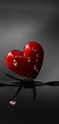 This beautiful phone live wallpaper features a red heart on top of barbed wire, representing the challenges of love