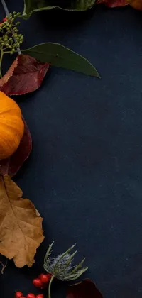 This pumpkin still life live wallpaper features a group of spooky carved faces on top of a table