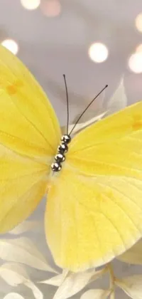 This phone live wallpaper showcases a digital art close-up of a vibrant yellow butterfly resting on a plant