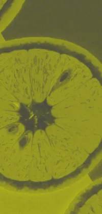 Looking for a unique and visually striking phone wallpaper? Look no further than this stunning MRI photograph of lemon slices sitting on a wooden table
