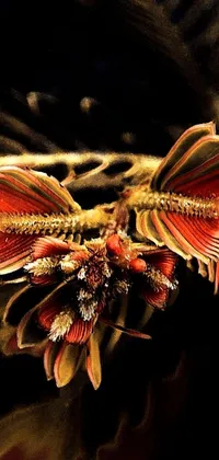 Plant Petal Marine Invertebrates Live Wallpaper