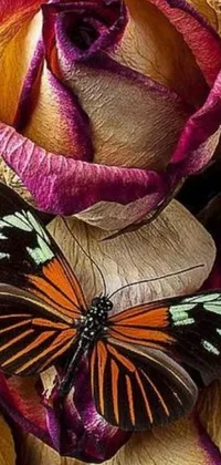 This flower and butterfly phone live wallpaper showcases a stunning macro photograph with brown and magenta tones