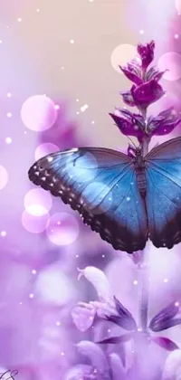 This phone wallpaper showcases a lovely blue butterfly sitting on a purple flower, both in soft pastel hues